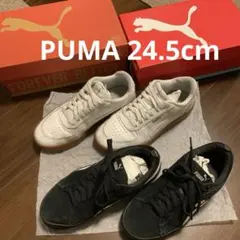PUMAスニーカー2点セット　【24.5cm】箱付き