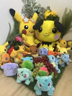 ポケモンfit ぬいぐるみセット 多色 fit以外もあり