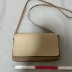 Item thumbnail for item e1c4aa0c-6c5f-4300-b602-5b990d083ecb