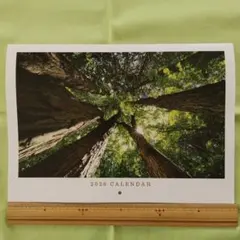 Item thumbnail for item 806edab5-8489-41c6-8e62-c5caa1bfee1a