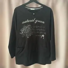 Item thumbnail for item 65a09561-2d69-46f8-a617-78e9ee479464