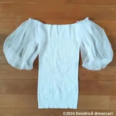 Item thumbnail for item 6b90f2ae-9b74-4194-8aca-e461a2feb382