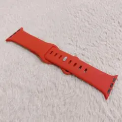 フォロ割⭕️コンパチブル Apple Watch バンド ベルト 38 40