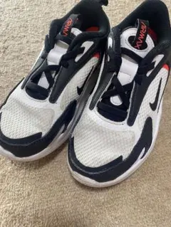 Nike Air Max スニーカー ホワイト/ブラック/レッド　　19㎝