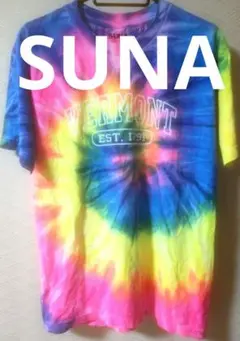 VERMONT EST. 1791 タイダイTシャツ