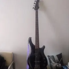 Item thumbnail for item c03205e6-7b32-433d-9bfe-4eec8f2fdc16