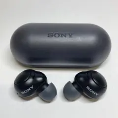 SONY WF-C500 ワイヤレスイヤホン　　　　S65