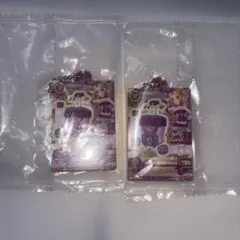 アイカツ プリパラ だれでもアクリルチャーム のの アクキー