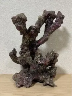 2026年最新】ライブロックレプリカの人気アイテム - メルカリ