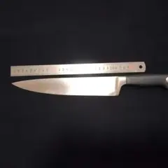 ツヴィリング サーモンナイフ 25cm 再生品 フィレナイフ 筋引