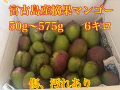 2025年最新】摘果マンゴーの人気アイテム - メルカリ