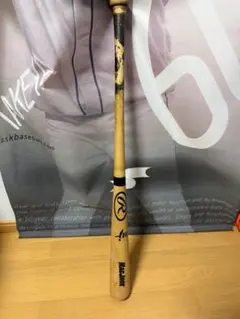 Item thumbnail for item b6bf7ad7-a060-4ceb-9f8a-69278073efec