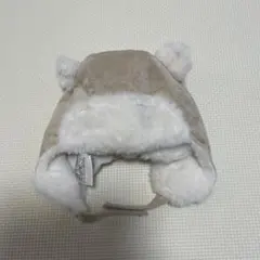 Item thumbnail for item 3c3acaff-64df-4c5f-9aca-efe513e8aedb