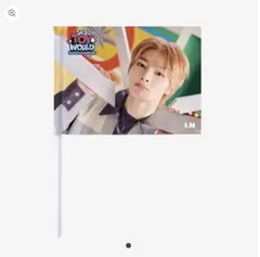 TOY WORLD I.N フラッグ アイエン