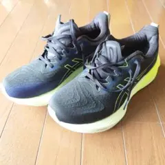 asics NOVABLAST4 ノヴァブラスト4 25.5cm WIDE