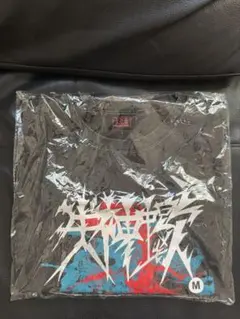 三代目　ECHOES OF DUALITY レプリカTシャツ　L 　登坂広臣 登坂広臣 ØMI レプリカ Tシャツ L ECHOES OF DUALITY - メルカリ