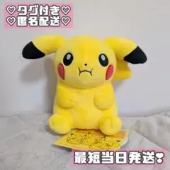 2026年最新】垂れ耳 ピカチュウの人気アイテム - メルカリ