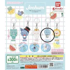 JOCHUM ジェオチャム めじるしアクセサリー1 マイクン ガチャガチャ
