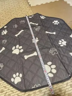 Item thumbnail for item 591b13d9-ec43-4030-b83b-2f848d7531c3