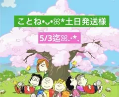 ことね•ᴗ•ꕤ*土日発送様 専用ページ
