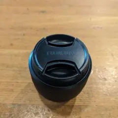 Item thumbnail for item 125c30f3-28ef-470e-947c-9b6fcf4e4190