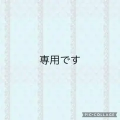 レモンユーカリ様専用