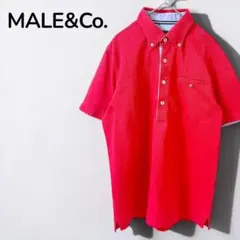 【メイルアンドコーMALE&Co.】美品　半袖ポロシャツ　カットソー　鮮やか　Lのサムネイル
