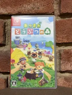 あつまれ どうぶつの森 Nintendo Switch
