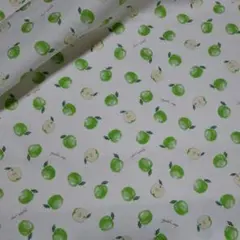 COSMOTEXTILECO りんご柄 シーチキン生地 青りんご 100cm