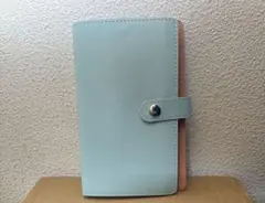 Item thumbnail for item e5d4f8aa-a59e-4c72-a07f-3034cd69db26