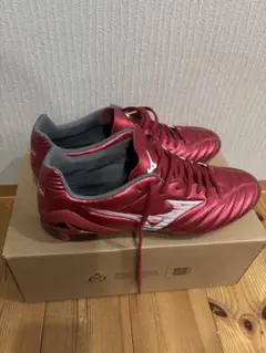 モナルシーダネオ３