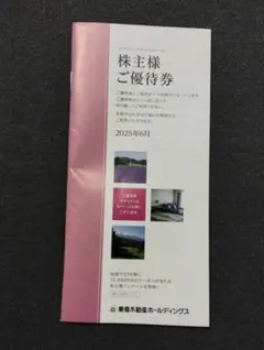 東急不動産ホールディングス　 500株以上　株主優待券