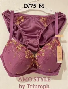 トリンプ　ブラショーツセット D