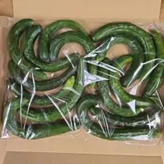 夏野菜サイズいろいろキュウリ(ネコポスサイズ)のサムネイル