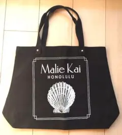 Item thumbnail for item 710f602c-e43e-4b77-a090-408e1d8c53d5