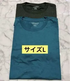 メンズ　Tシャツ クルーネック　2枚　半袖　L