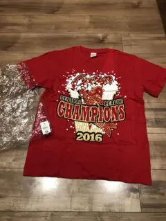 Item thumbnail for item 75bc15f1-53ed-4733-9ade-34f7f074d597