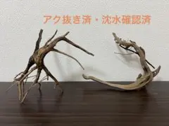 HX-317 流木 マシンガンウッド ホーンウッド アクアリウム ブランチ