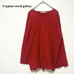 イーハイフンワールドギャラリー　Vネックリブニット　赤系　スリットスリーブ