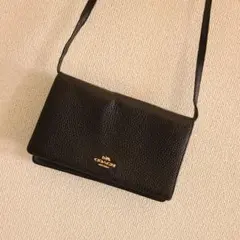 Item thumbnail for item fd958127-1a1b-469c-b063-6b6a3bbec789