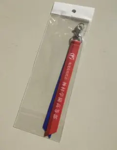 鹿児島県代表 神村学園 ボンフィン キーホルダー 第104回 高校サッカー