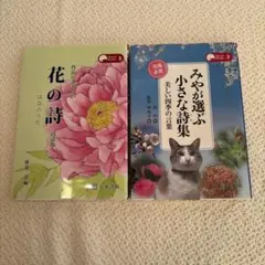 Item thumbnail for item 07c65e87-4c33-4b1f-a2ba-98081e9f756f