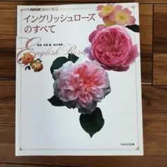 Item thumbnail for item 735a2115-bd68-4ce5-9e38-e562a989fb4f