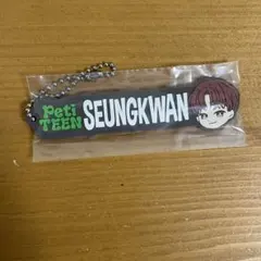 SEVENTEEN スングァン セブチくじ ラバーストラップ