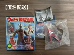 【匿名配送】ウルトラ怪獣名鑑　ウルトラセブン編　史上最大の侵略より　シークレット