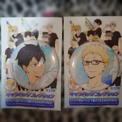 ハイキュー!!　缶バッジ