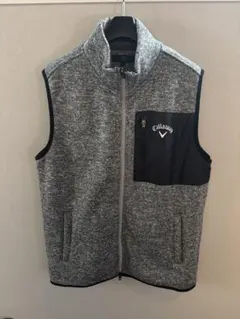 Item thumbnail for item 10276fef-816e-4aa6-a263-3e30d55c00cd