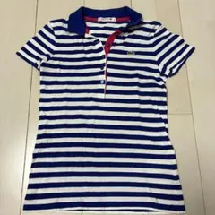 LACOSTE 青白ストライプ ポロシャツ 34