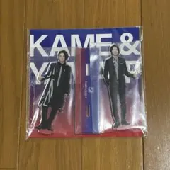 亀と山P　アクリルスタンド　15周年