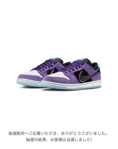 Hayley Wilson × Nike SB Dunk Low Pro